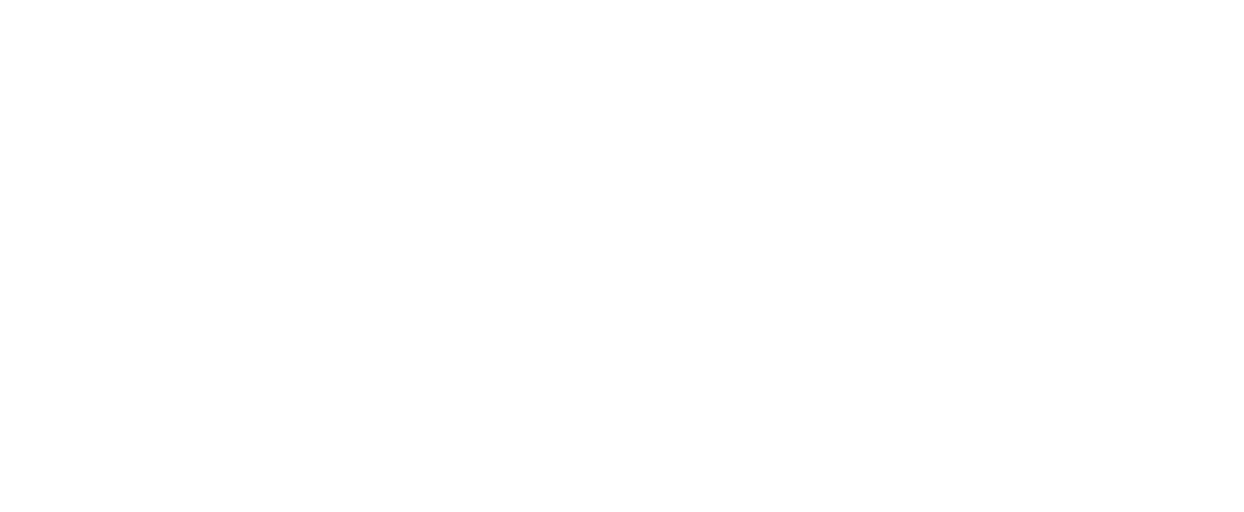 BridgeFlex